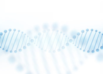 Estimating quality of life with biomarkers among older Korean adults: A machine-learning approach