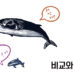 Vol.74 비교와 행복