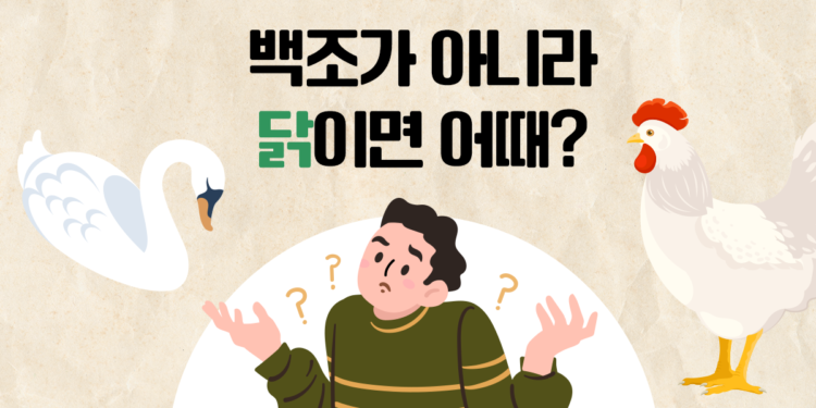 백조가 아니라 닭이면 어때요?